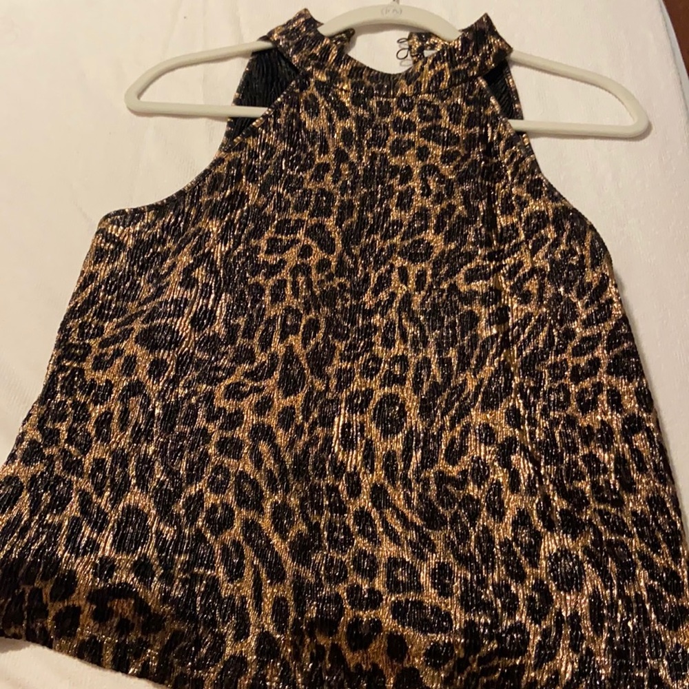 Zara gold and brown top